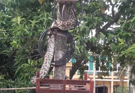 tin-tuc-24h-ngay-188