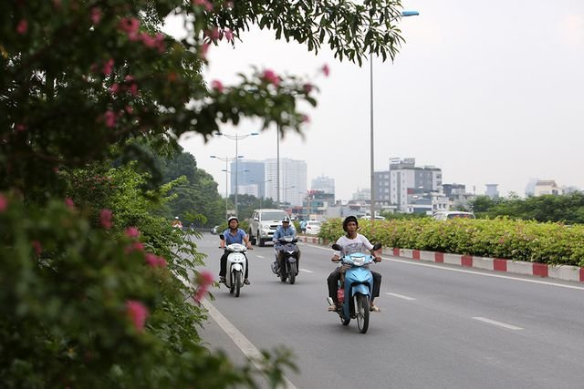con-duong-hoa-giay-hiem-co-o-ha-noi