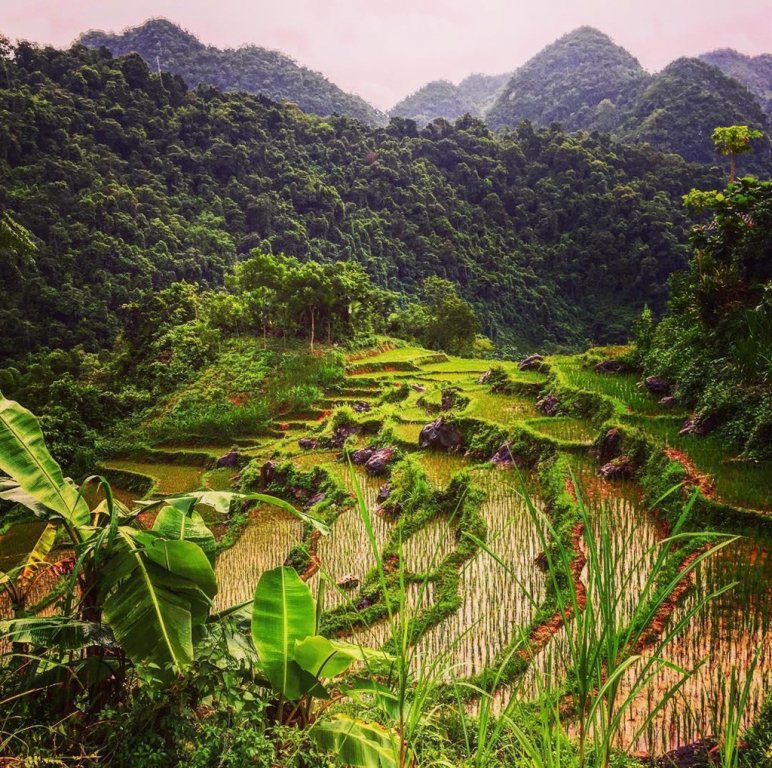 Pu Luong - mot Sa Pa thu nho cua Thanh Hoa hinh anh 6 