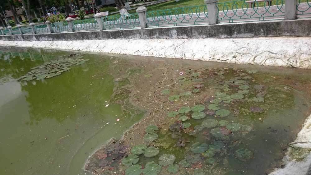Hồ chết ở Hải Phòng, Quảng Ninh hồi sinh nhờ công nghệ Nhật