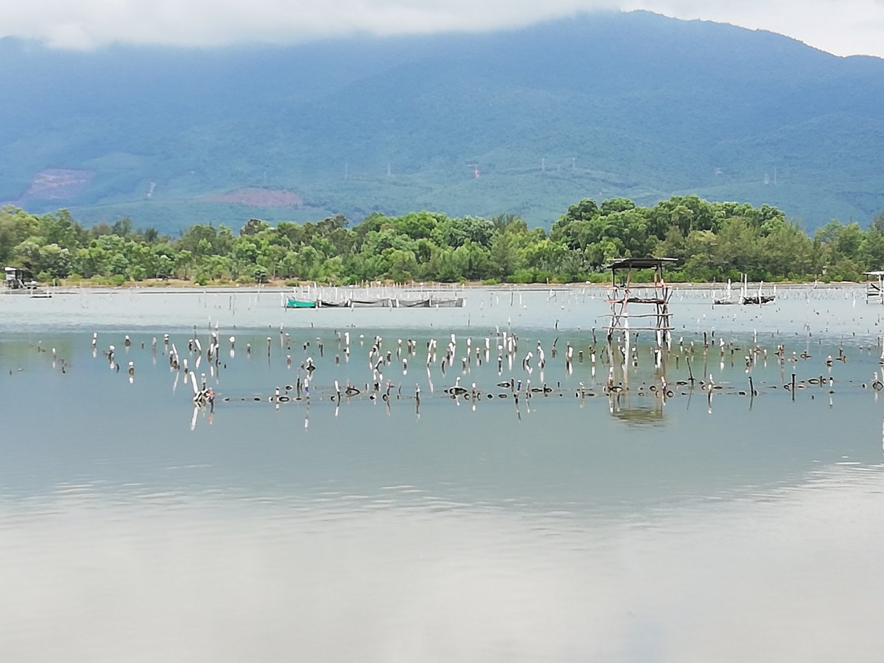 doc-dao-nghe-nuoi-hau-bang-lop-xe-cu-o-lang-co