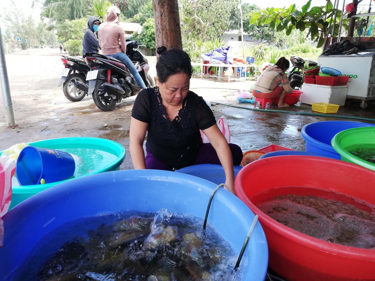 doc-dao-nghe-nuoi-hau-bang-lop-xe-cu-o-lang-co
