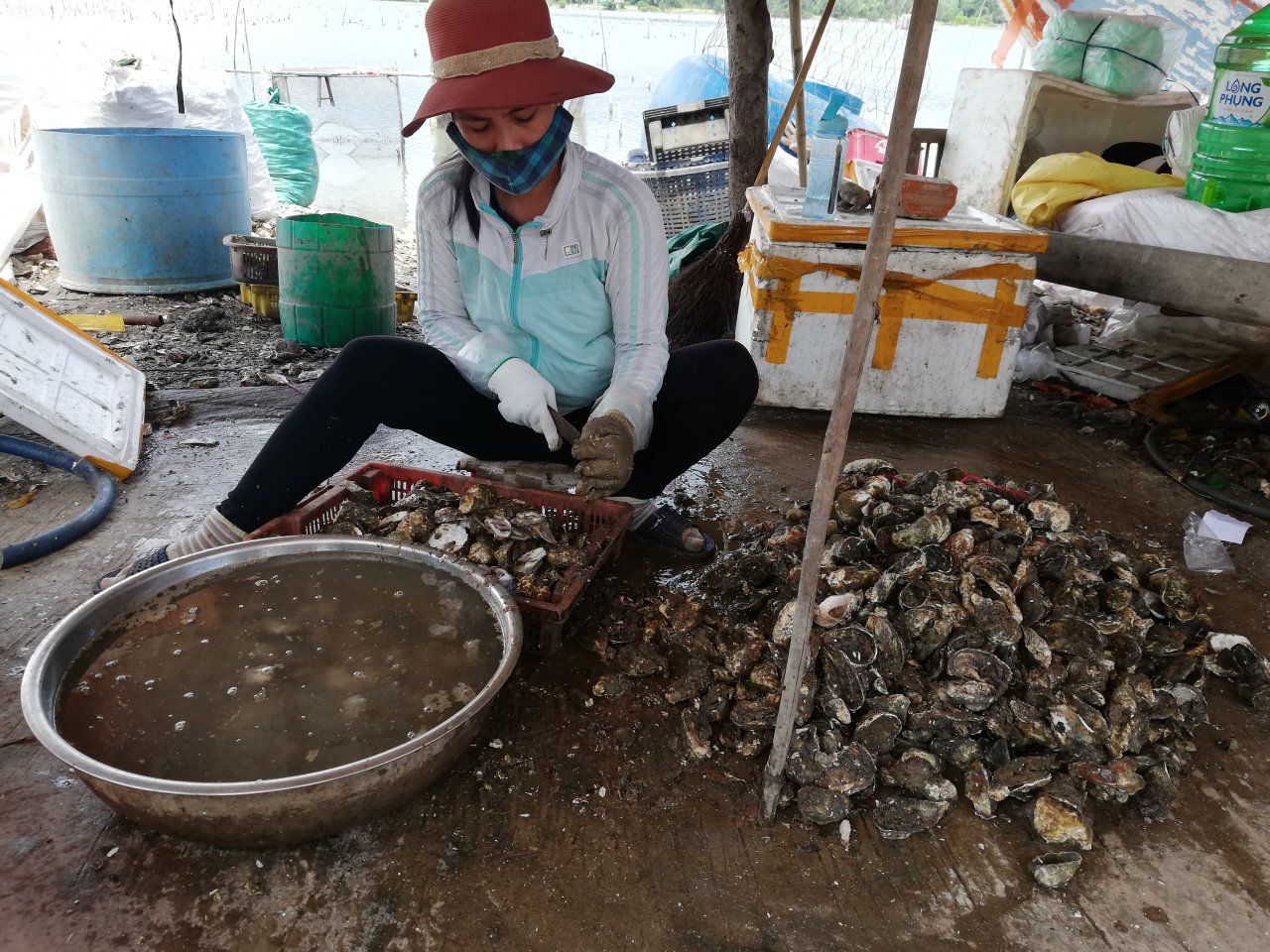 doc-dao-nghe-nuoi-hau-bang-lop-xe-cu-o-lang-co