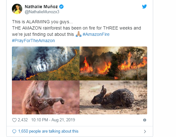 cnn-dan-mang-the-gioi-dang-chia-se-sai-hinh-anh-ve-chay-rung-amazon