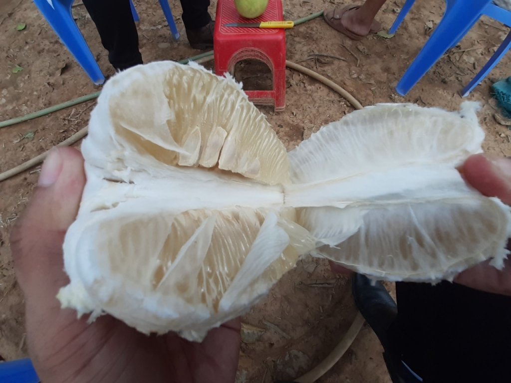 can-canh-loai-qua-dac-san-hue-mat-mua-do-nang-nong