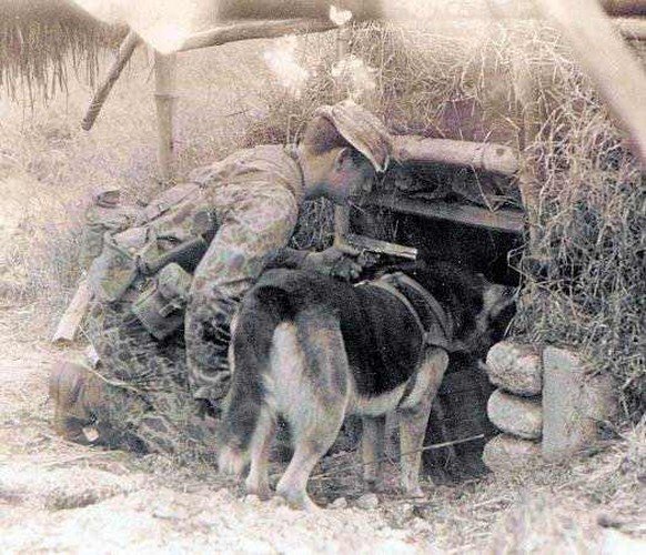 quan-khuyen-my-trong-chien-tranh-viet-nam