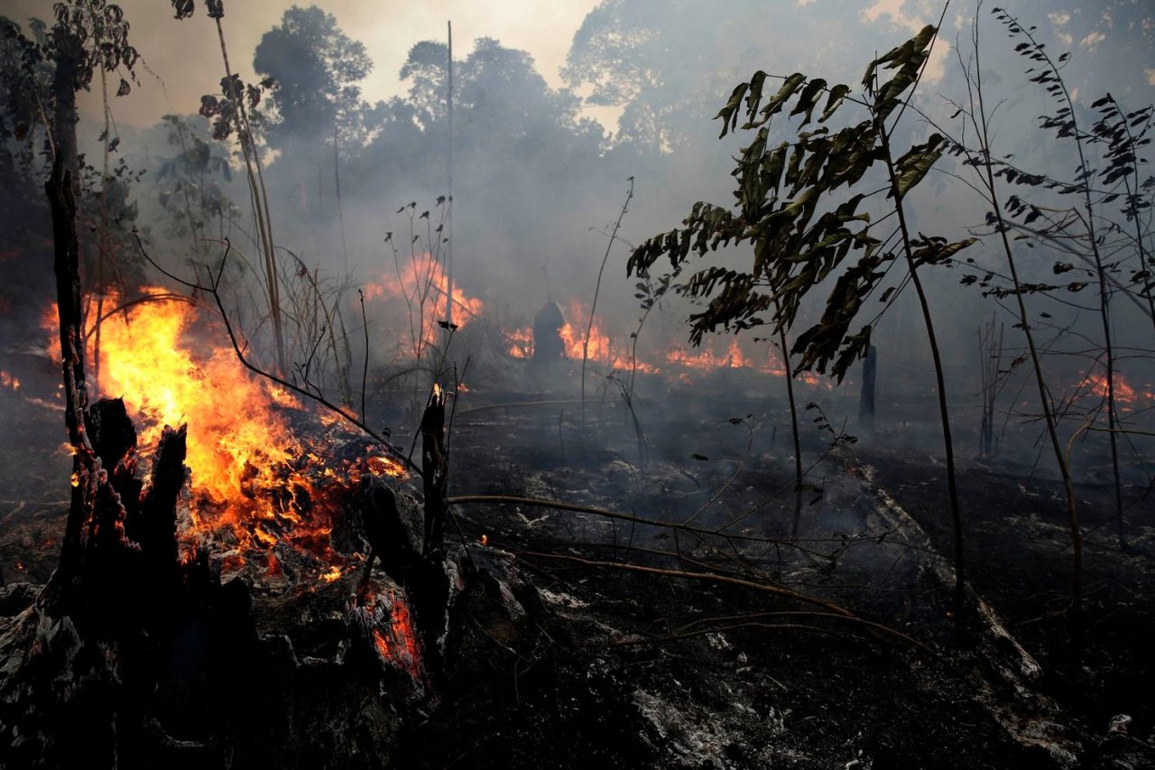 brazil-tu-choi-22-trieu-do-vien-tro-cuu-rung-amazon-cua-g7-tiep-tuc-mia-mai-nuoc-phap