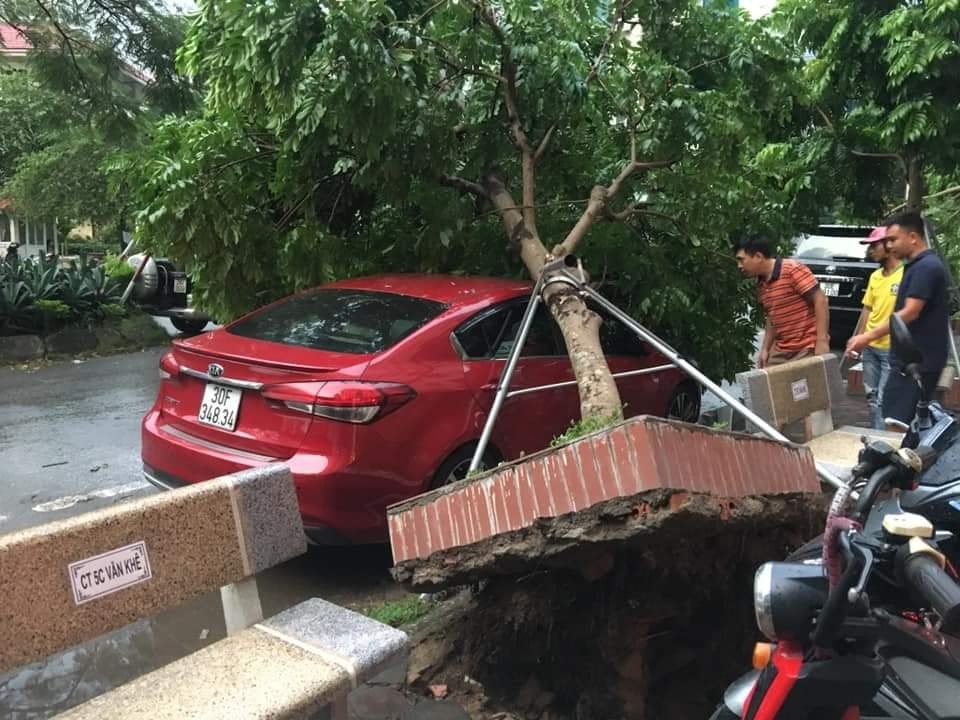 Cuồng phong mạnh nhổ cả gốc cây. (Ảnh: FB).