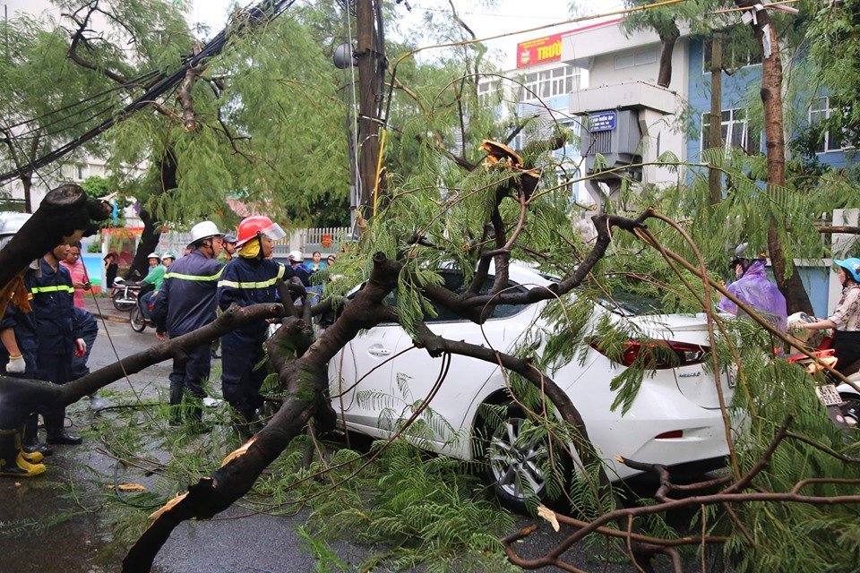Nhiều cây xanh gãy đổ cành rơi vào phương tiện lưu thông trên đường. (Ảnh: CTV).