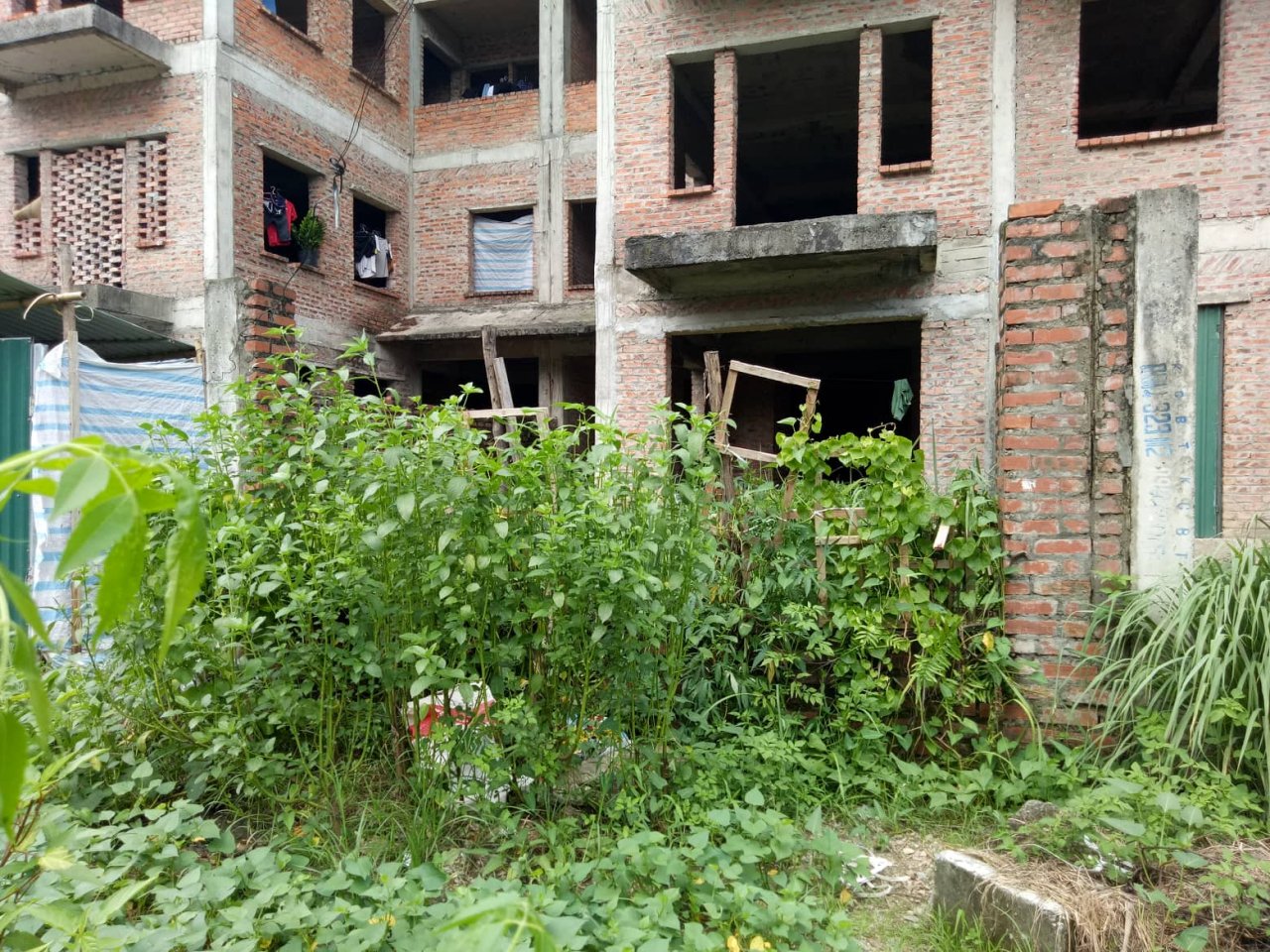 Dự án Khu nhà ở cán bộ Quốc hội cấp Thứ trưởng và tương đương thuộc tiểu khu TT9-TT10, Khu đô thị Xuân Phương (Nam Từ Liêm) ngổn ngang cỏ dại. (Ảnh: Nguyễn Nam).