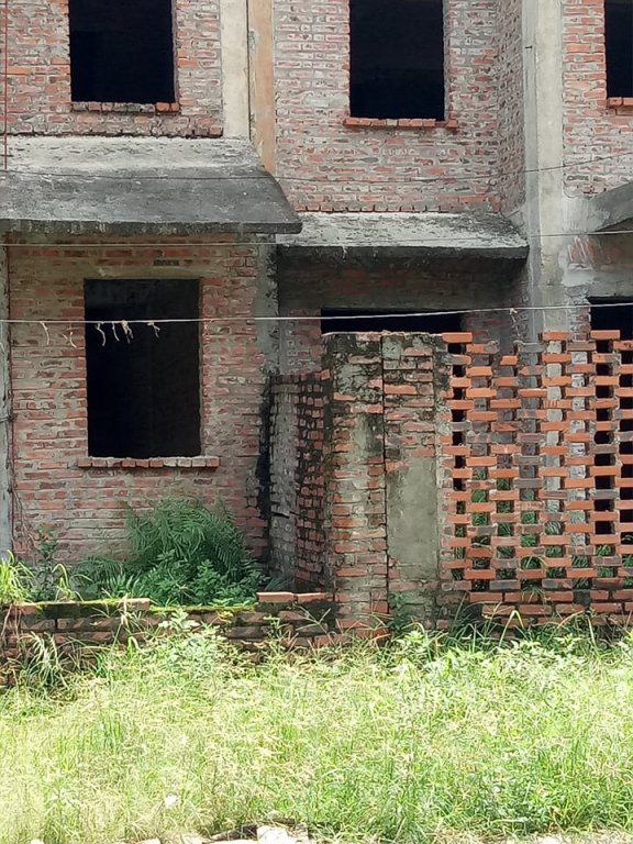 Bờ tường mọc rêu và bong tróc gạch xây.