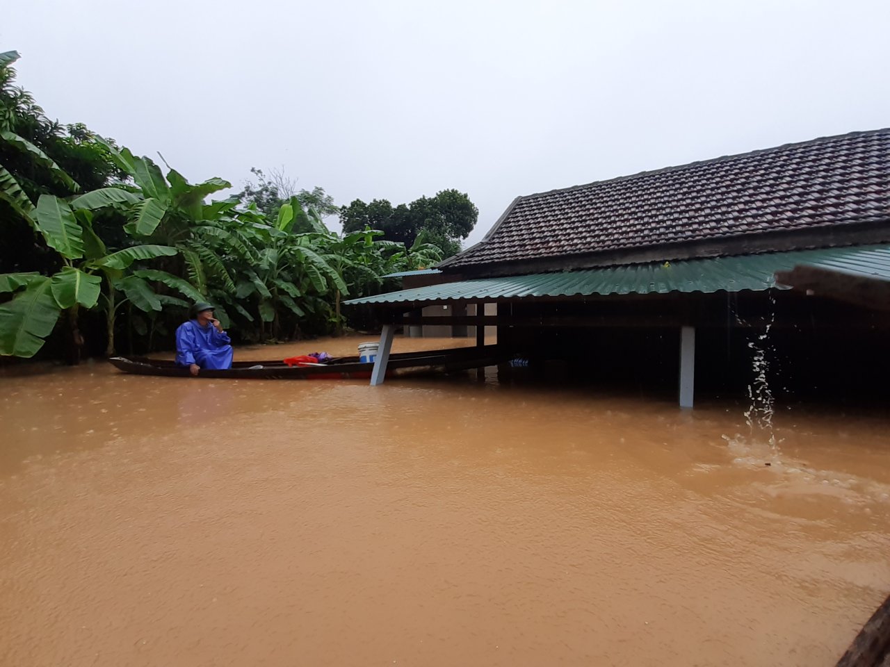 tinh-quang-tri-da-di-doi-4668-nguoi