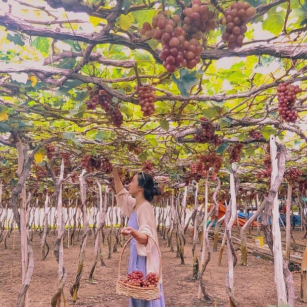 Tháng 9 đổi gió 