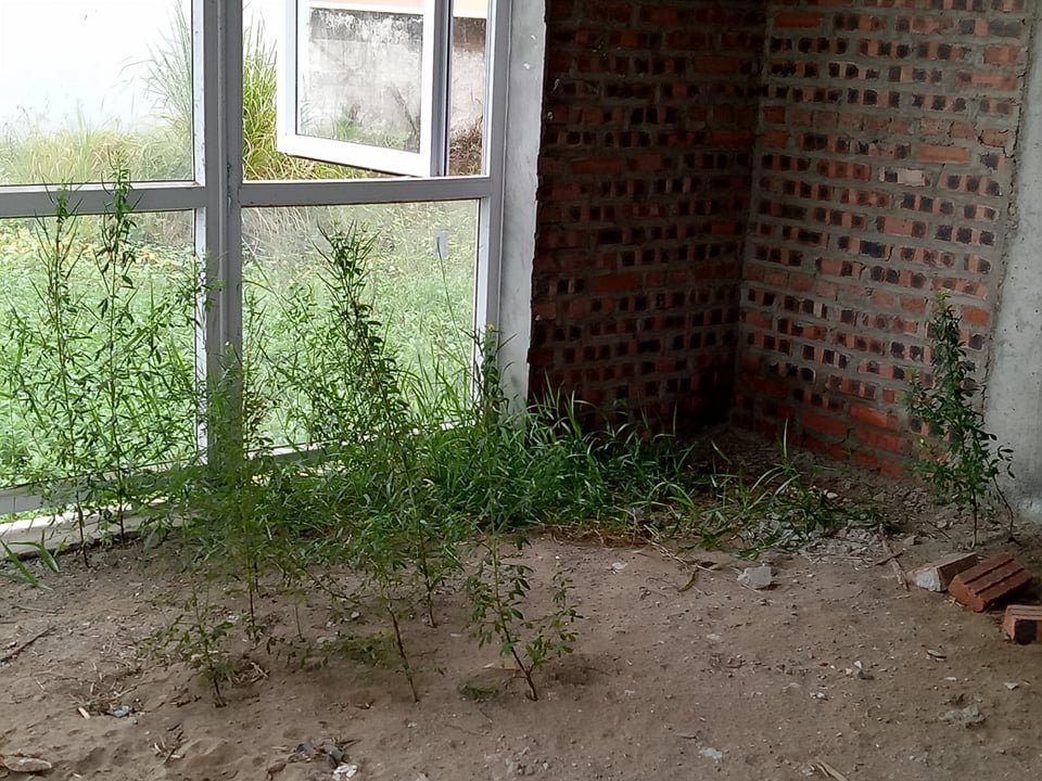 Và bên trong.