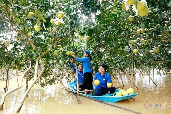 mot-ngay-ban-van-qua-buoi-can-bo-ha-tinh-muot-mo-hoi-lam-shipper