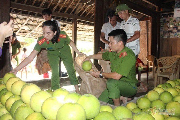mot-ngay-ban-van-qua-buoi-can-bo-ha-tinh-muot-mo-hoi-lam-shipper