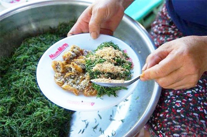 Khám phá bất ngờ rau nhót “lộc trời” có ở Nghệ An