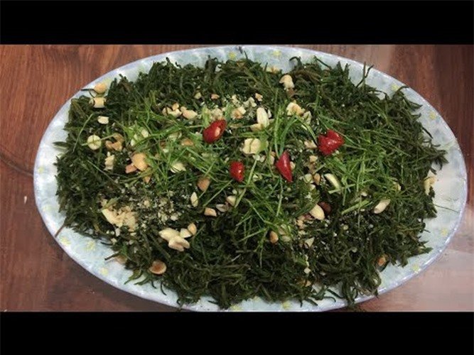Khám phá bất ngờ rau nhót “lộc trời” có ở Nghệ An