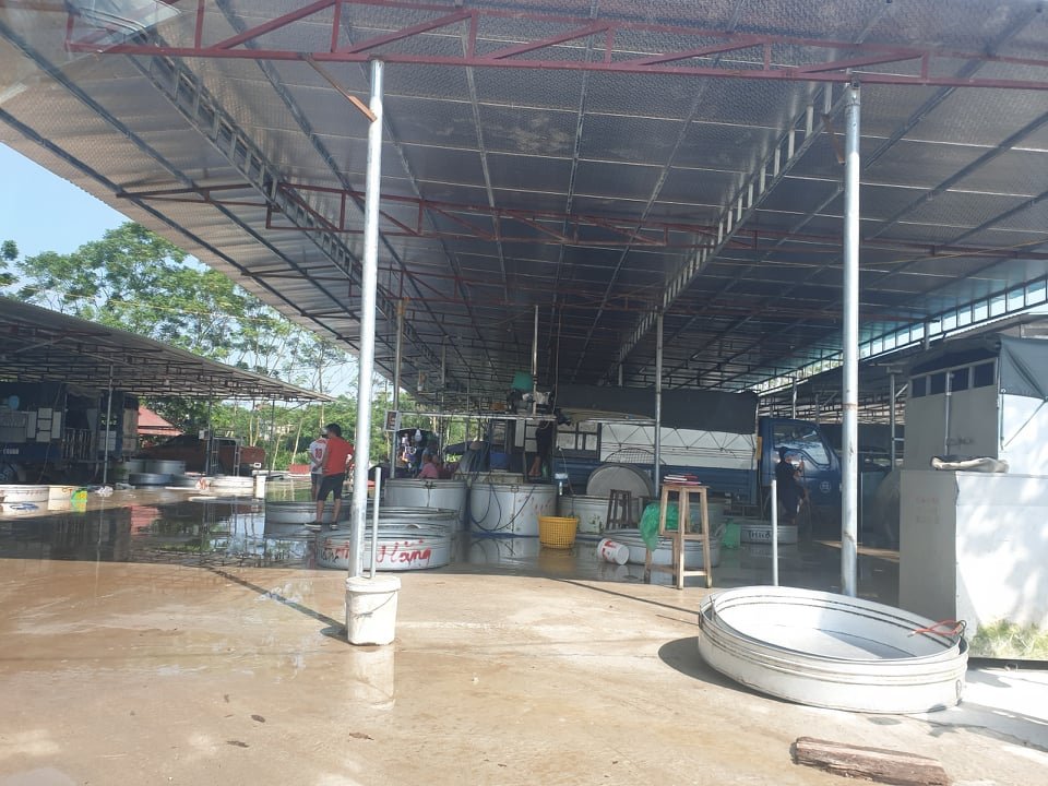 Mặc dù diện tích xây dựng rất lớn nhưng không hề có giấy phép.