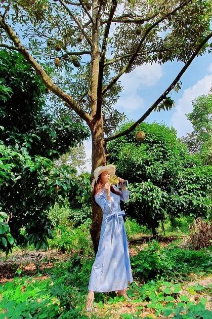 Hồi đầu tháng năm nay, Lý Nhã Kỳ tiết lộ mua vườn trái cây rộng một hecta tại Bà Rịa – Vũng Tàu. Vườn của Lý Nhã Kỳ trồng nhiều loại như sầu riêng, măng cụt, chôm chôm Thái Lan, bơ, mít... Cựu diễn viên dự định sẽ xây dựng nơi đây thành khu vườn sinh thái và mở cửa cho khách vào tham quan, thưởng thức trái cây hái tại chỗ. 