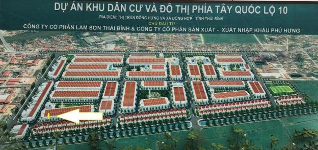 hang-loat-du-an-bat-dong-san-dinh-sai-pham-chu-tich-ubnd-tinh-thai-binh-lien-doi-trach-nhiem-ra-sao