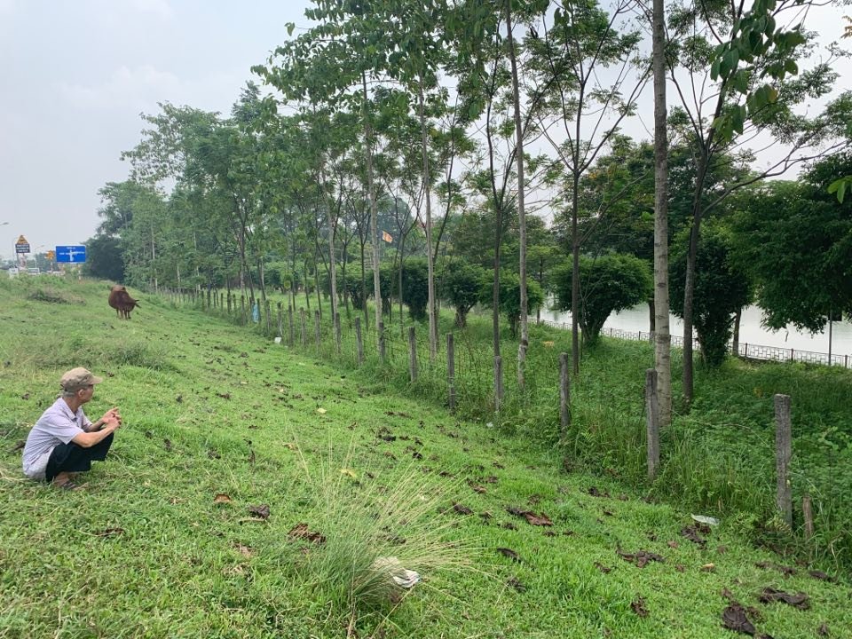 Thế nhưng phần 20.000m2 cho ông Đoàn Văn Vinh thuê không được cắm mốc giới dẫn đến việc ông này sử dụng toàn bộ phần diện tích 36.000m2 cùng với việc trồng cây, xây dựng công trình lấn chiếm hành lang bảo vệ đê điều khiến dư luận người dân hết sức bức xúc. (Ảnh: Nhất Nam).