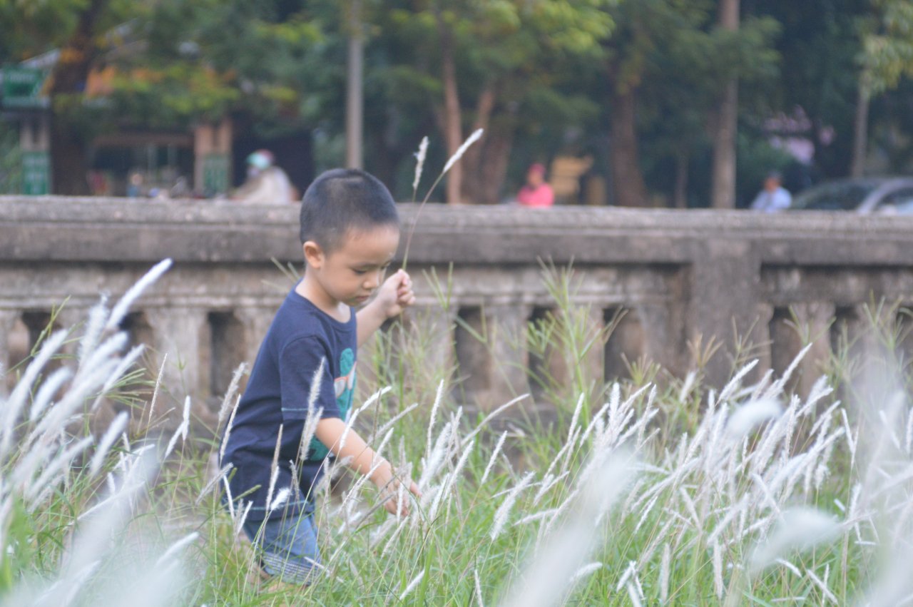 du-khach-chen-chan-khoe-sac-cung-hoa-co-dai-ben-thanh-co-dai-noi-hue
