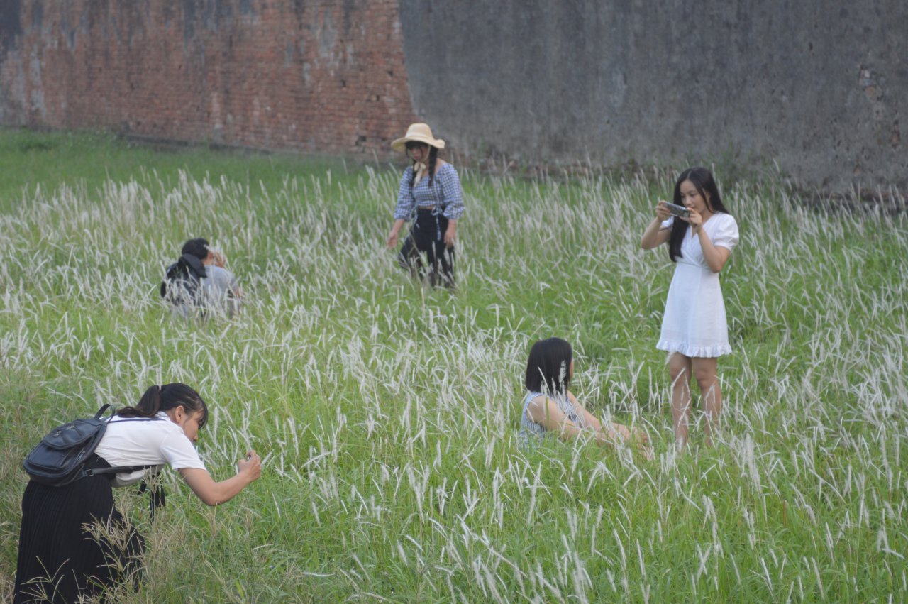 du-khach-chen-chan-khoe-sac-cung-hoa-co-dai-ben-thanh-co-dai-noi-hue
