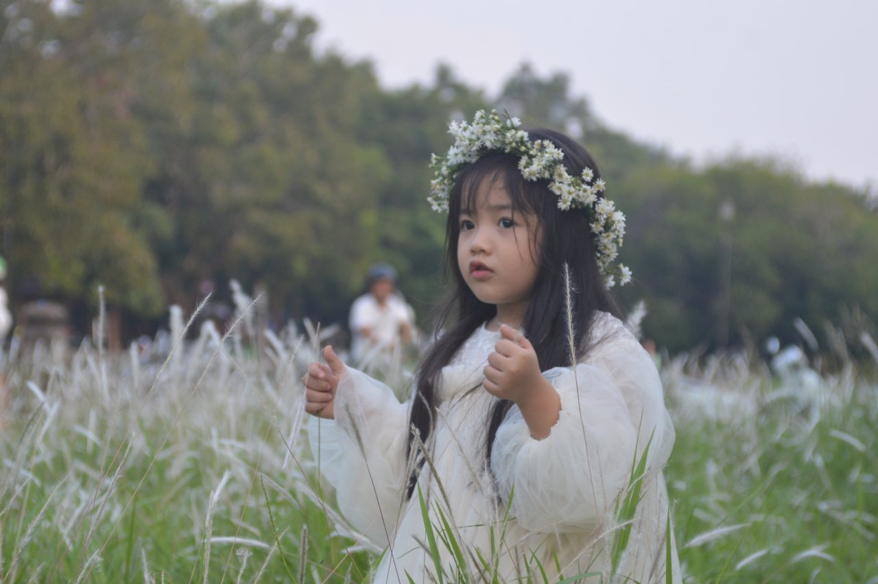du-khach-chen-chan-khoe-sac-cung-hoa-co-dai-ben-thanh-co-dai-noi-hue