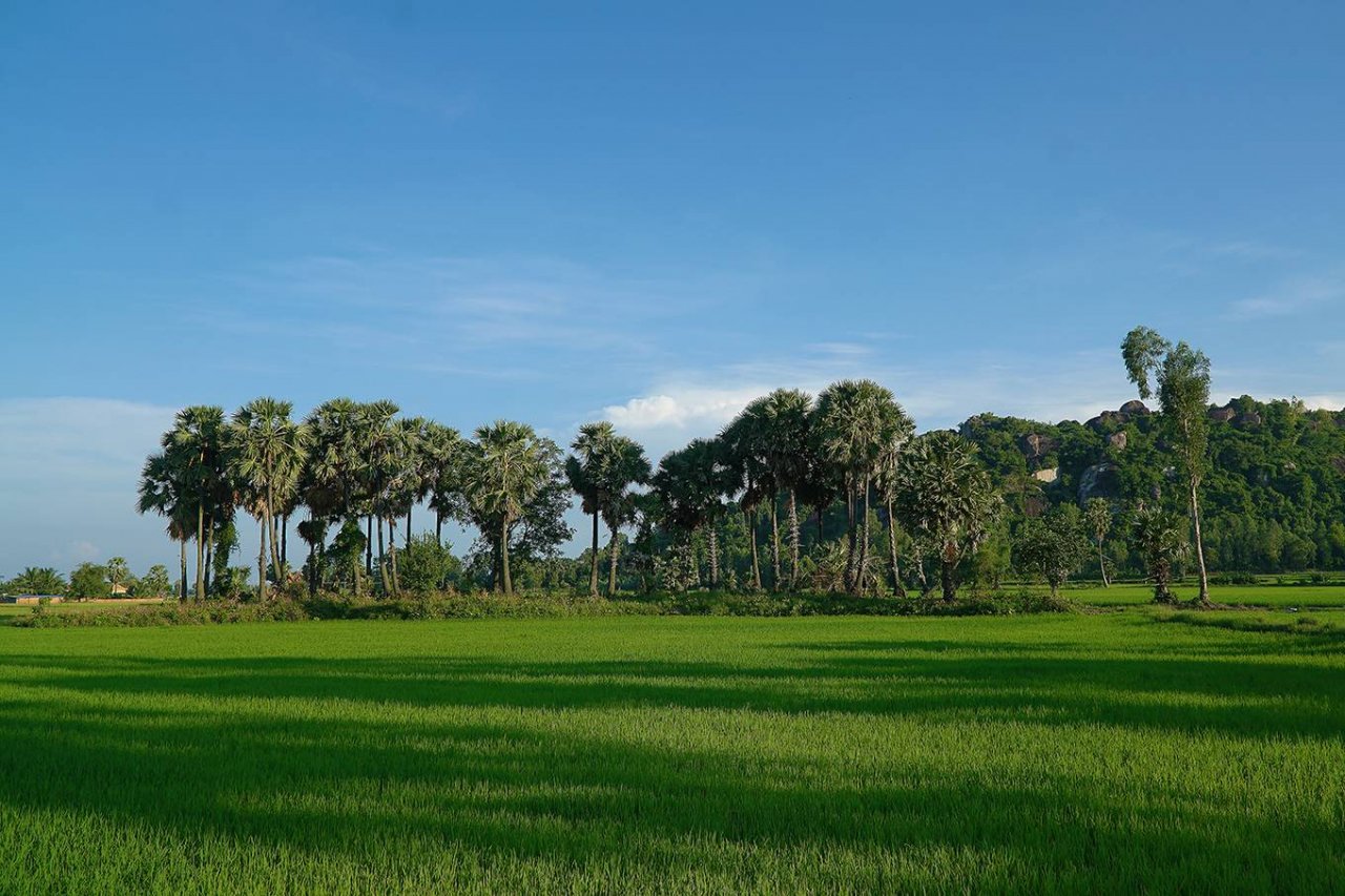 Cuối tuần check-in chợ nổi, hàng thốt nốt