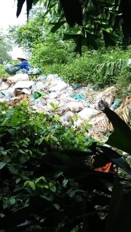 HTX đổ rác ra sông suốt 4 năm, chính quyền xã... không hay biết?