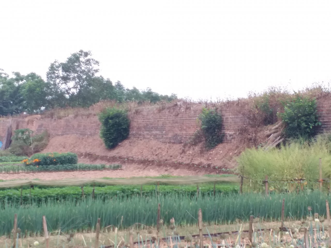 se-co-tu-2200-2500-lo-dat-tai-dinh-cu-phuc-vu-di-doi-dan-roi-khoi-di-tich