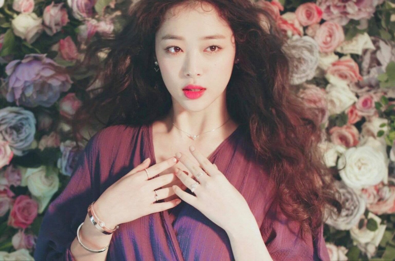 Sulli qua đời