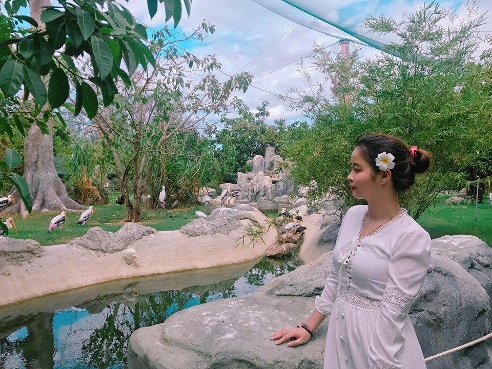 kham-pha-flc-zoo-safari-park-vuon-thu-ban-hoang-da-doc-dao-tai-quy-nhon