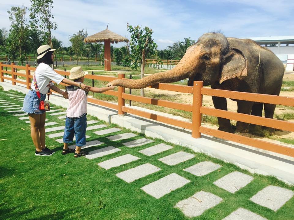 kham-pha-flc-zoo-safari-park-vuon-thu-ban-hoang-da-doc-dao-tai-quy-nhon