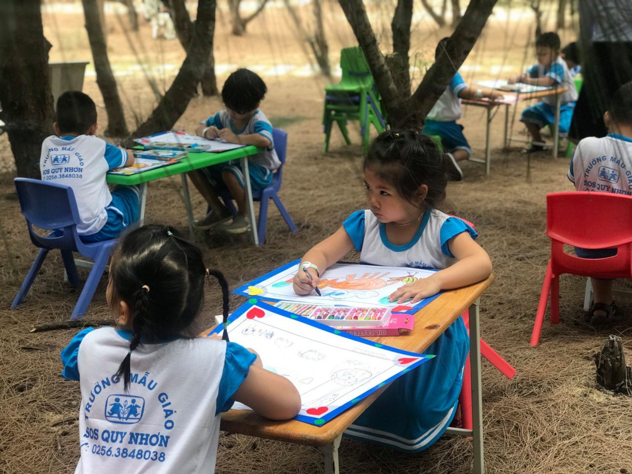 kham-pha-flc-zoo-safari-park-vuon-thu-ban-hoang-da-doc-dao-tai-quy-nhon