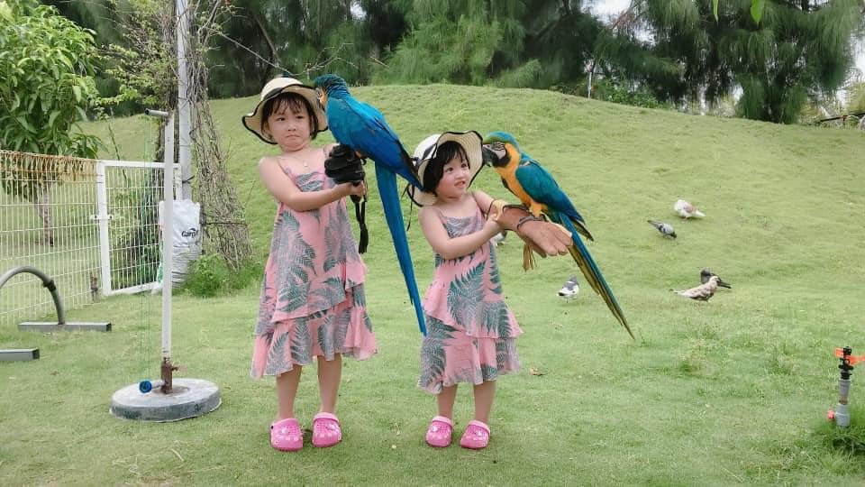 kham-pha-flc-zoo-safari-park-vuon-thu-ban-hoang-da-doc-dao-tai-quy-nhon
