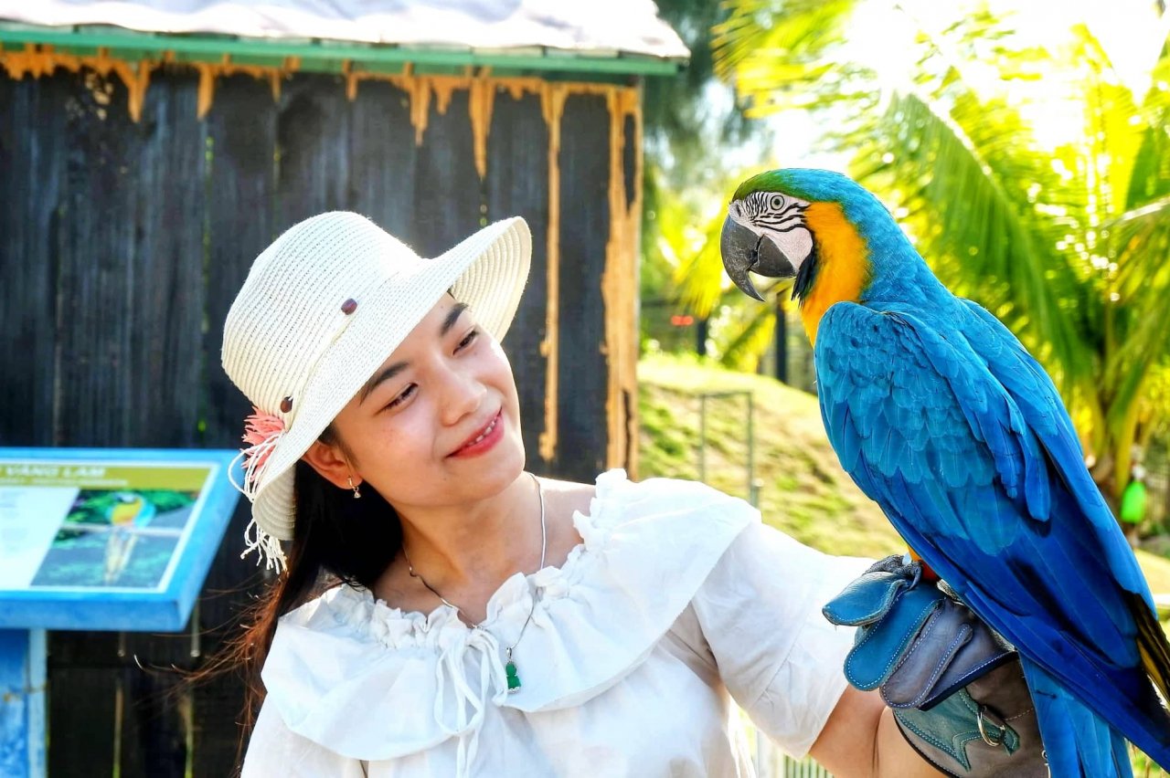kham-pha-flc-zoo-safari-park-vuon-thu-ban-hoang-da-doc-dao-tai-quy-nhon