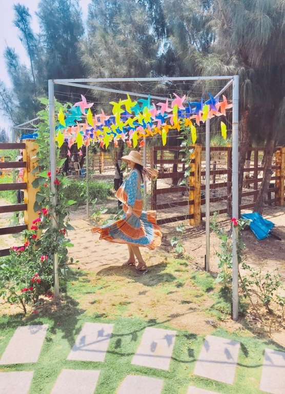 kham-pha-flc-zoo-safari-park-vuon-thu-ban-hoang-da-doc-dao-tai-quy-nhon