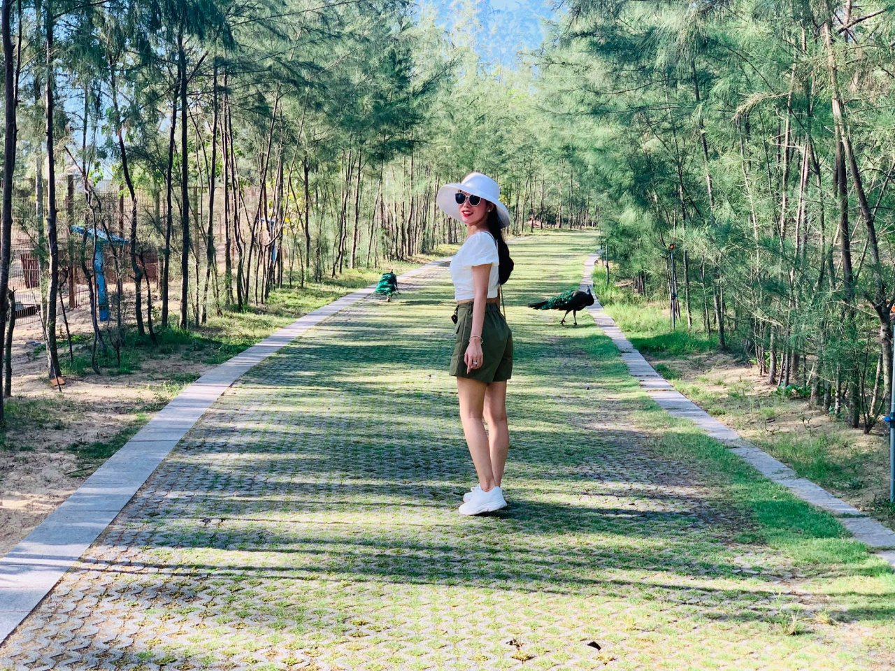 kham-pha-flc-zoo-safari-park-vuon-thu-ban-hoang-da-doc-dao-tai-quy-nhon