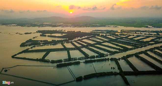 Thu hồi quyết định giao đất làm dự án 5.000 tỷ ở Quy Nhơn