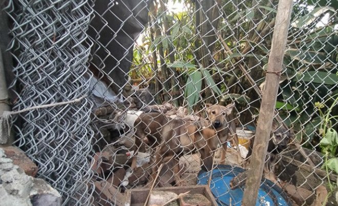 Cô dâu 41 tuổi trải lòng việc lấy chồng kém 21 tuổi ở Hưng Yên, mẹ chồng nghẹn ngào kể gia cảnh éo le