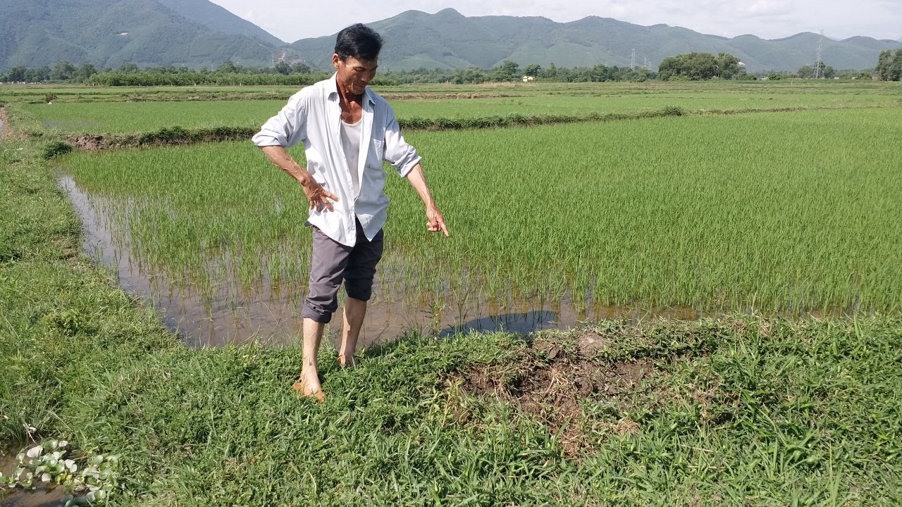 som-xay-dung-khu-tai-dinh-cu-de-di-doi-cac-ho-dan-bi-anh-huong-boi-nha-may-xi-mang-dong-lam