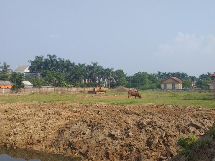 Dự án nghỉ dưỡng Wyndham Thanh Thủy vẫn đang là bãi đất trống nhưng đã rao bán rầm rộ. (Ảnh: Tầm Nhìn).