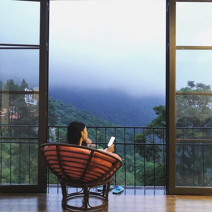 Ba homestay ở Tam Đảo trong mùa dã quỳ