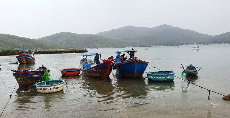 bao-so-5-ap-sat-dat-lien-quang-ngai-khanh-hoa-hang-van-nguoi-dan-duoc-so-tan