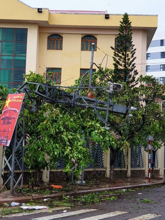 tp-quy-nhon-tan-hoang-sau-bao-so-5