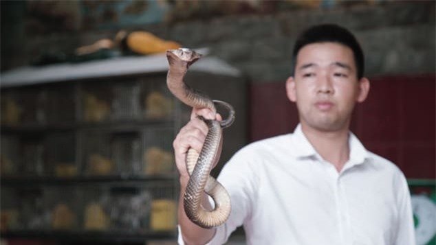 Đặc sản rắn Lệ Mật của Hà Nội lên sóng CNN