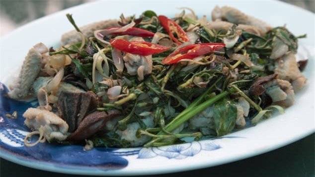 Đặc sản rắn Lệ Mật của Hà Nội lên sóng CNN