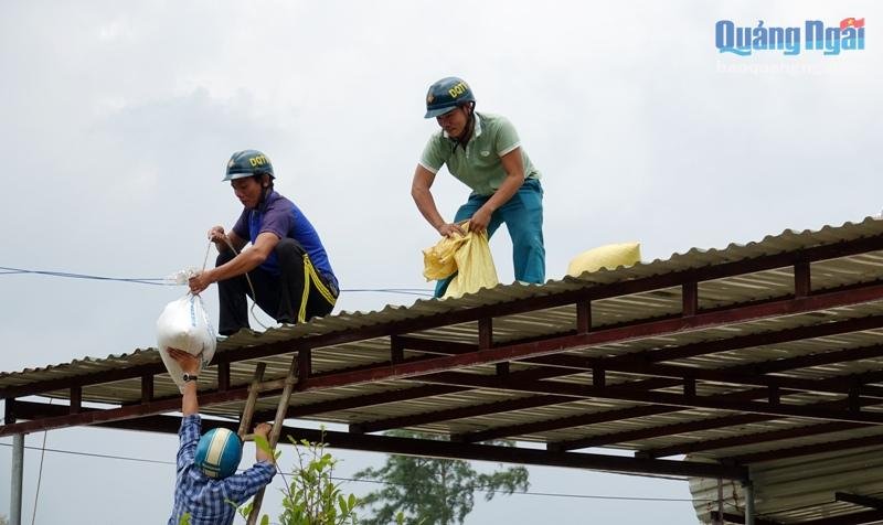 Người dân ven biển Quảng Ngãi chèn chắn nhà cửa ứng phó bão số 6 đổ bộ. (Ảnh: Báo Quảng Ngãi).
